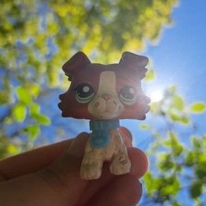 Meet your Posher, Ace